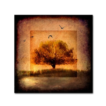 LightBoxJournal 'For The Love Of Trees III' Canvas Art,24x24